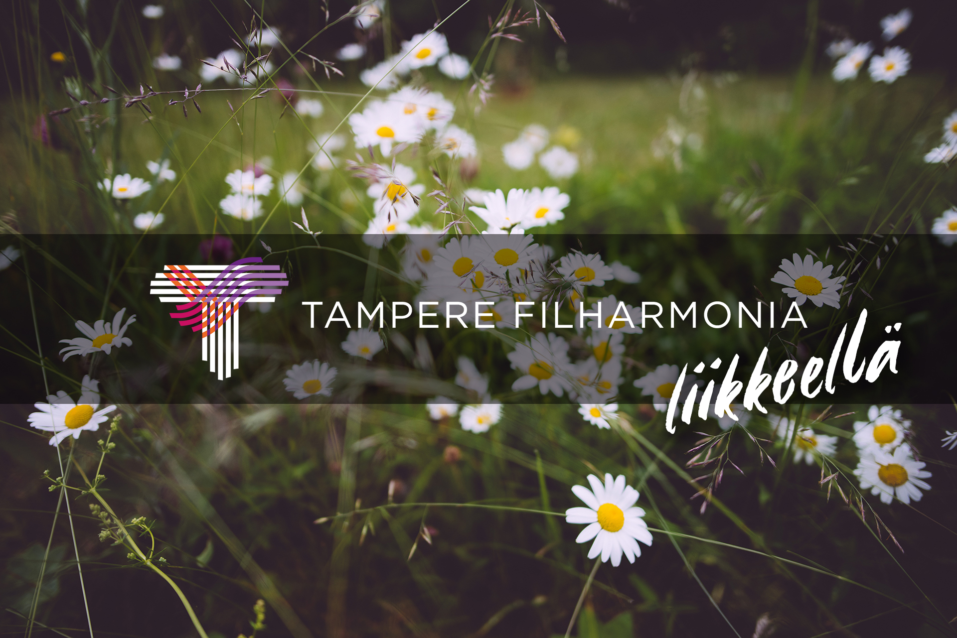 Tampere Filharmonian puupuhaltimista koostuva yhtye konsertoi Kimmo Pyykkö -taidemuseossa keskiviikkona 12.8.2020.