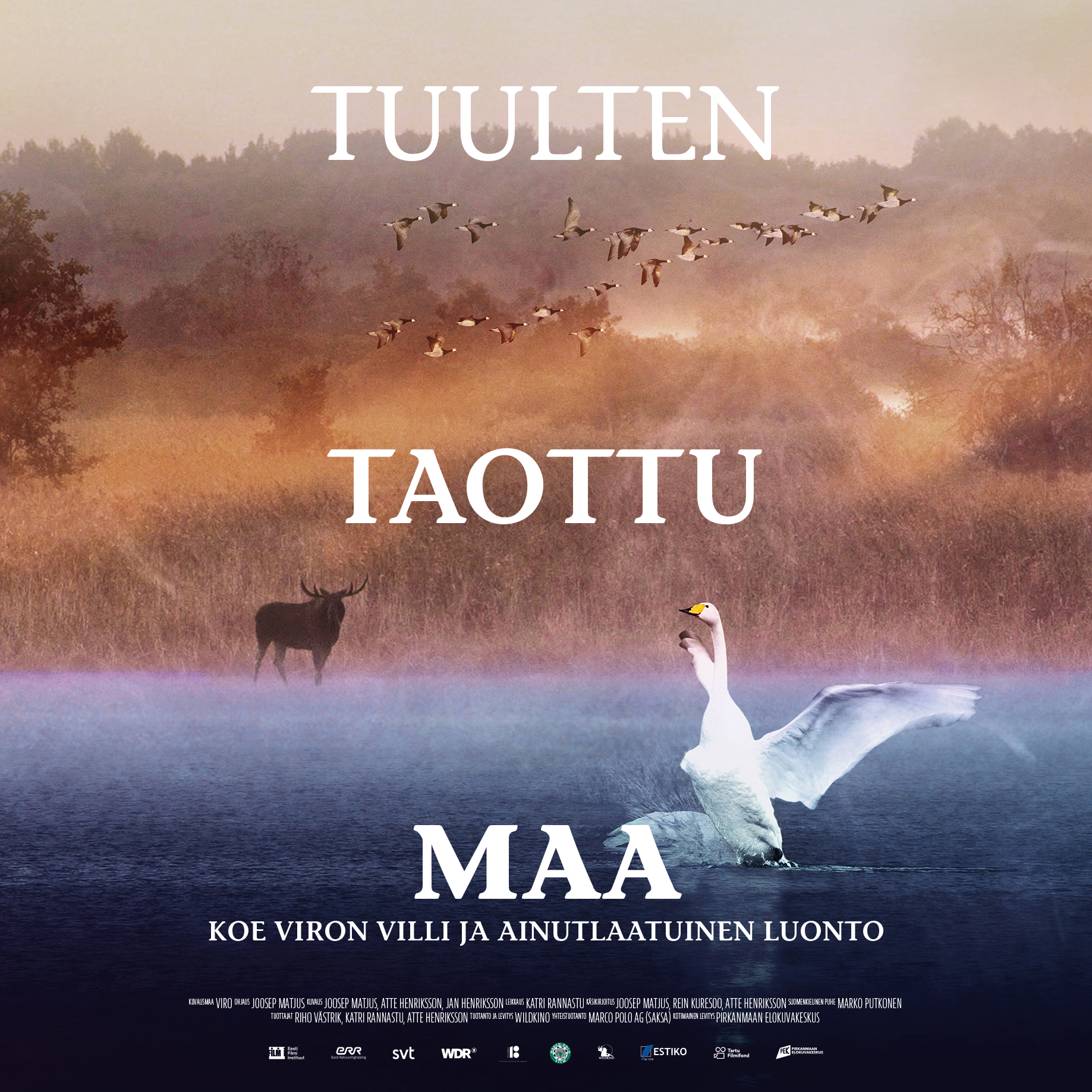 Viron villiä ja ainutlaatuista luontoa kuvaava elokuva Tuulten taottu maa Kangasala-talon K-Kinossa elokuussa 2020.